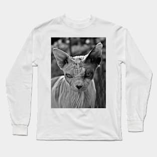 Sphynx Cat Long Sleeve T-Shirt